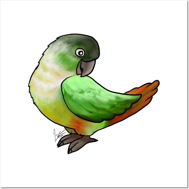 Bird - Conure - Green Cheeked Conure Wall Art by Jen's Dogs Custom Gifts and Designs